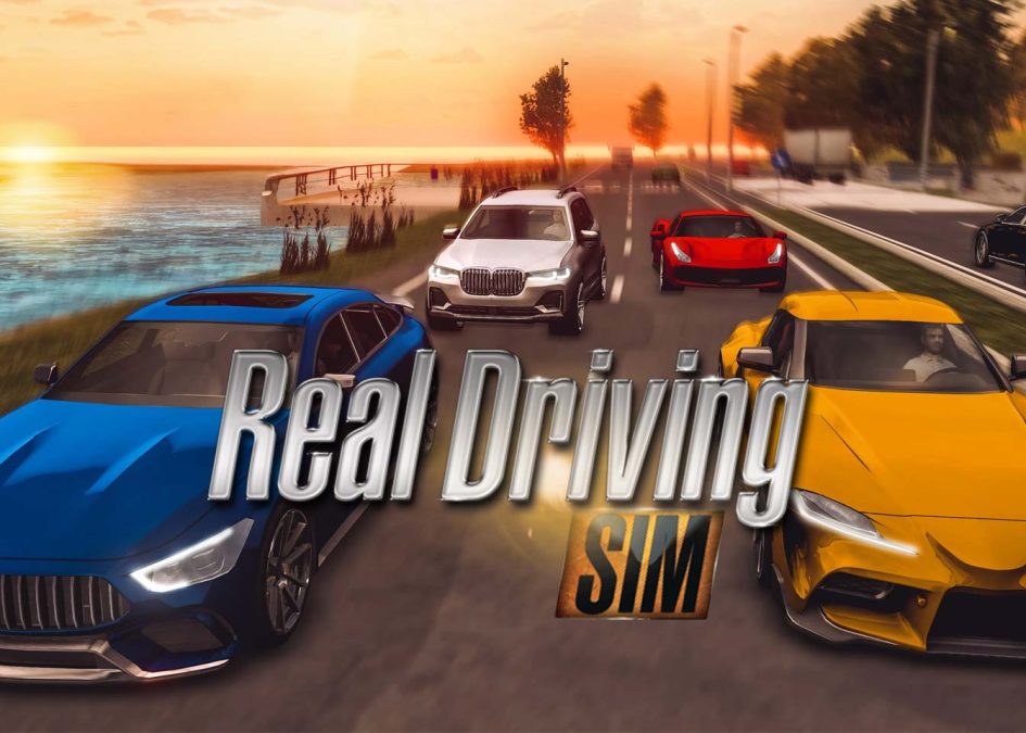 real-driving-simulator