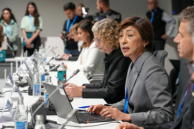 Gulnara Roll (UNEP) speaks at the COP29 the High Level Roundtable on Green Construction and Energy Efficiency in Buildings and Climate Resilience