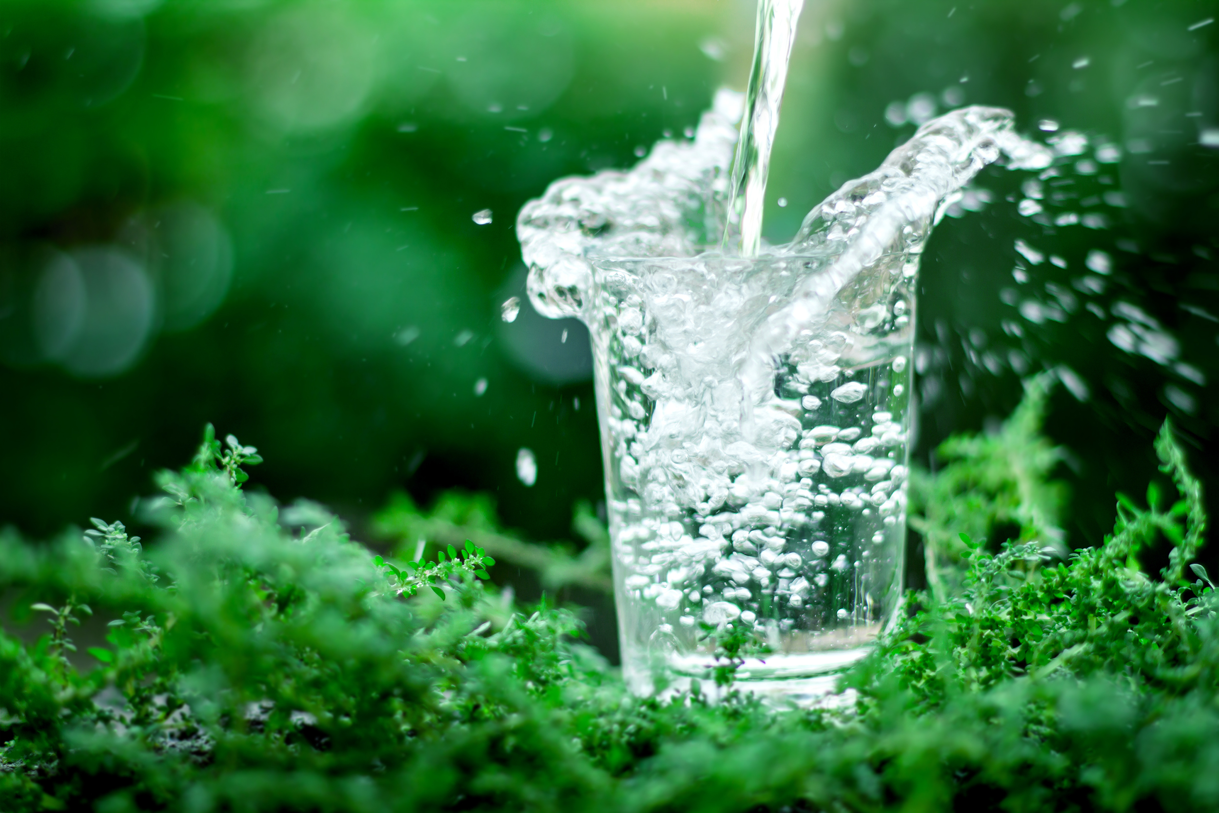 the,glass,of,cool,fresh,water,on,natural,green,background