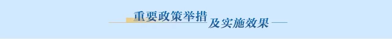 重要政策举措及实施效果