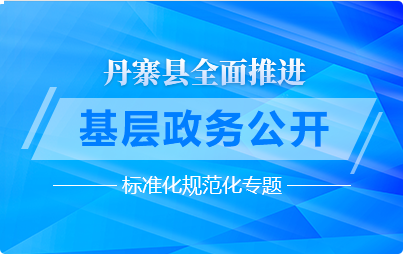 丹寨县全面推进基层政务公开标准化规范化专题