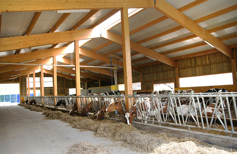 ferme2_2.jpg