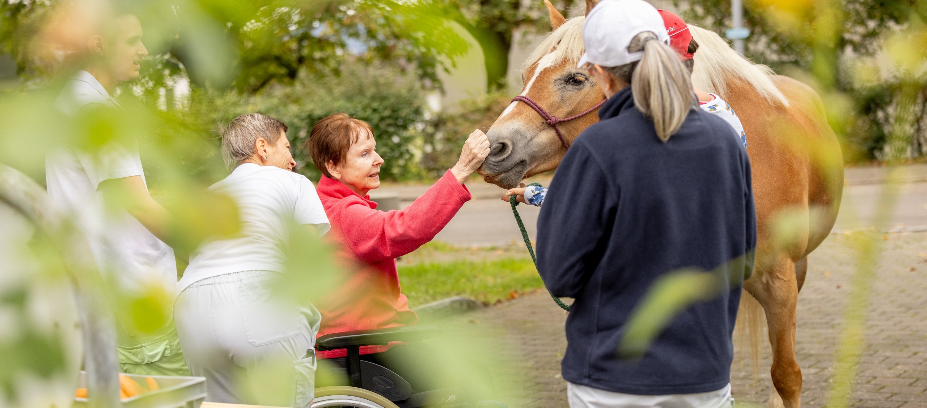 Patienten-Sport- und Spielfest der Reha Rheinfelden