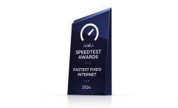 Salt Speedtest