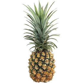 Bild einer Ananas