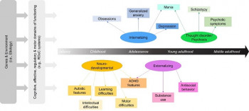 Beyond labels: A new framework for neurodiversity and mental health Graphic representation of the proposed neurodevelopmental spectrum alongside dimensions currently in transdiagnostic frameworks. Credit by: G. Michelini et al./World Psychiatry