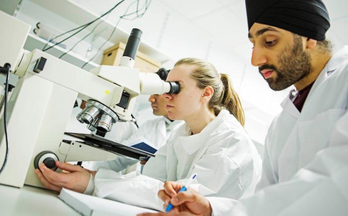 students using microscope