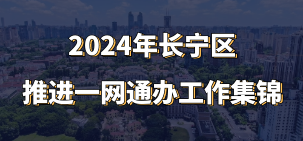 2024年长宁区推进一网通办工作集锦