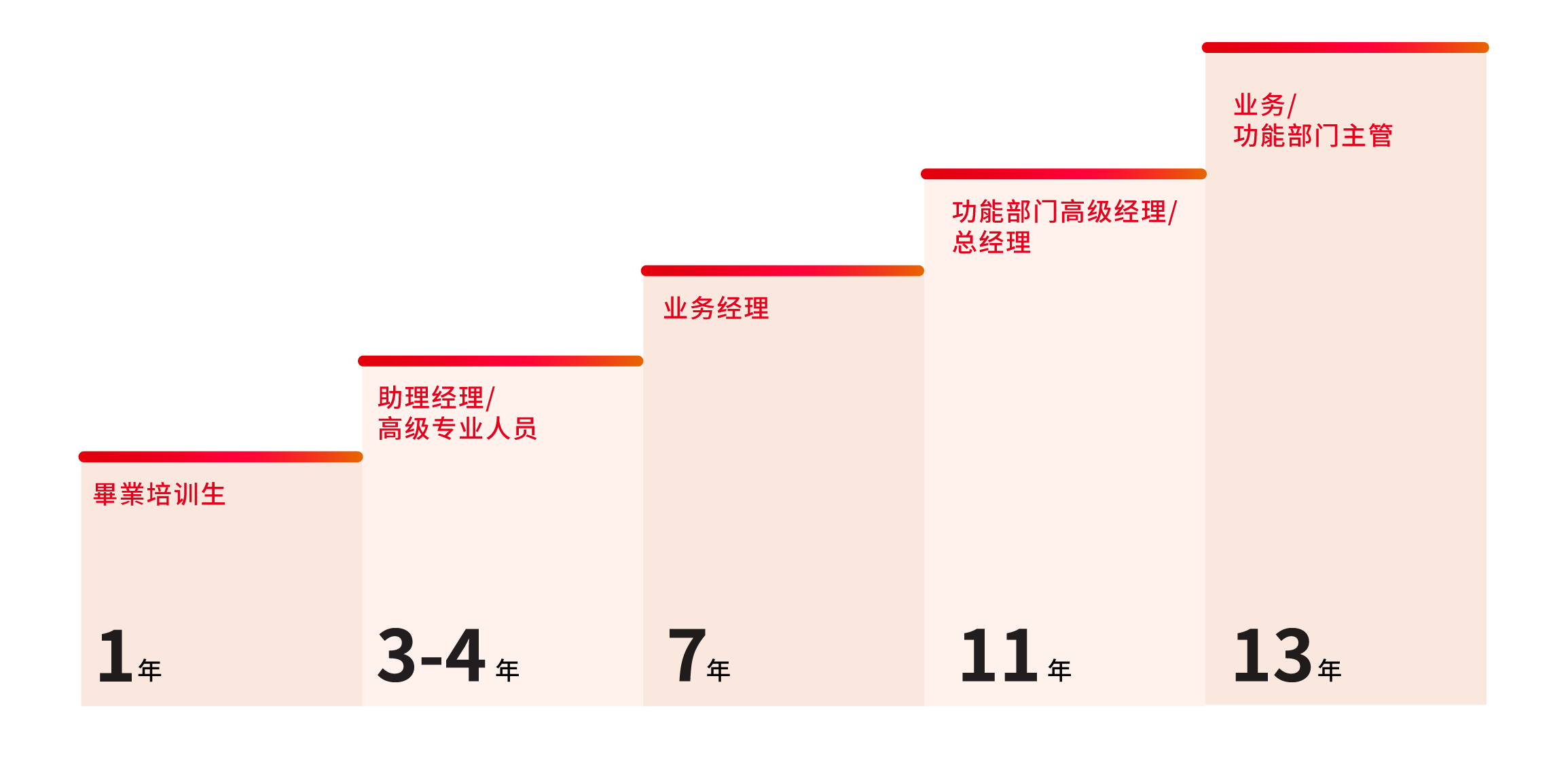 事业阶梯