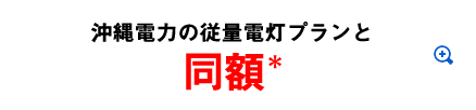 沖縄電力の従量電灯プランと同額＊