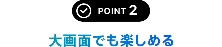 POINT 2 大画面でも楽しめる