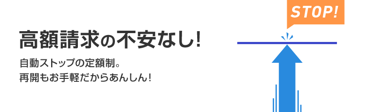 高額請求の不安なし！自動ストップの定額制。再開もお手軽だからあんしん！