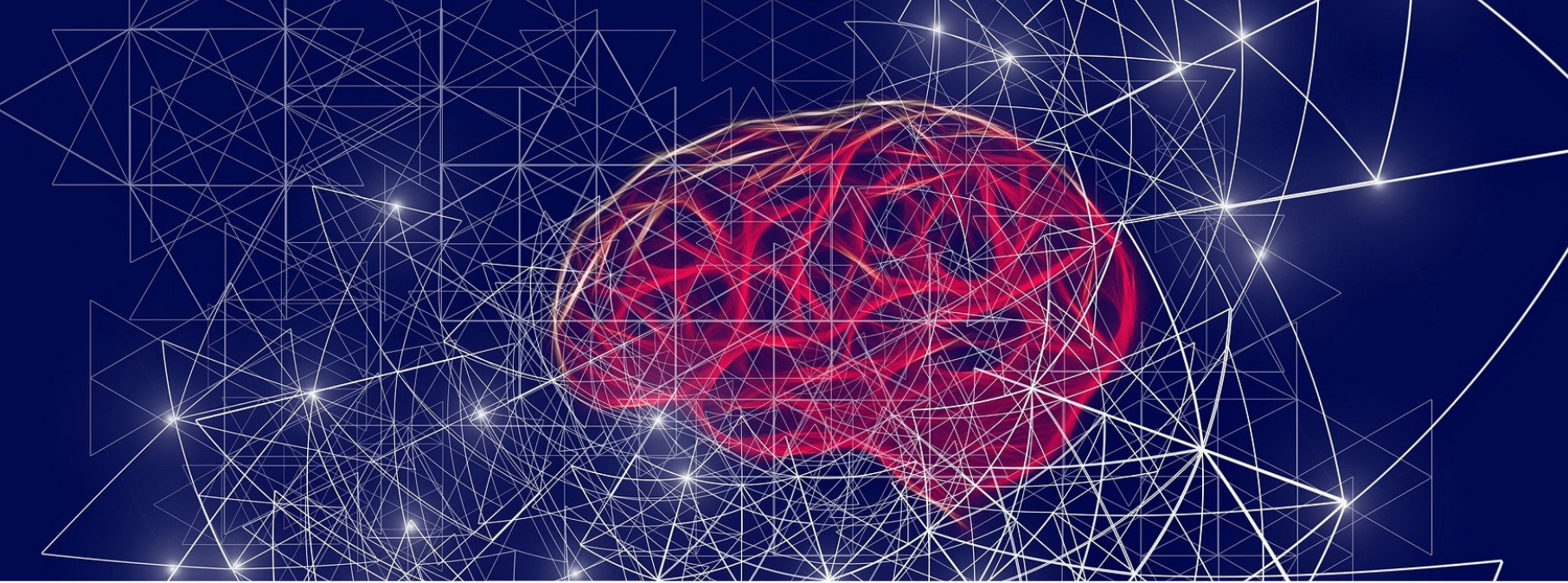 An image of a red brain on a blue background, with white geometric lines surroudning it