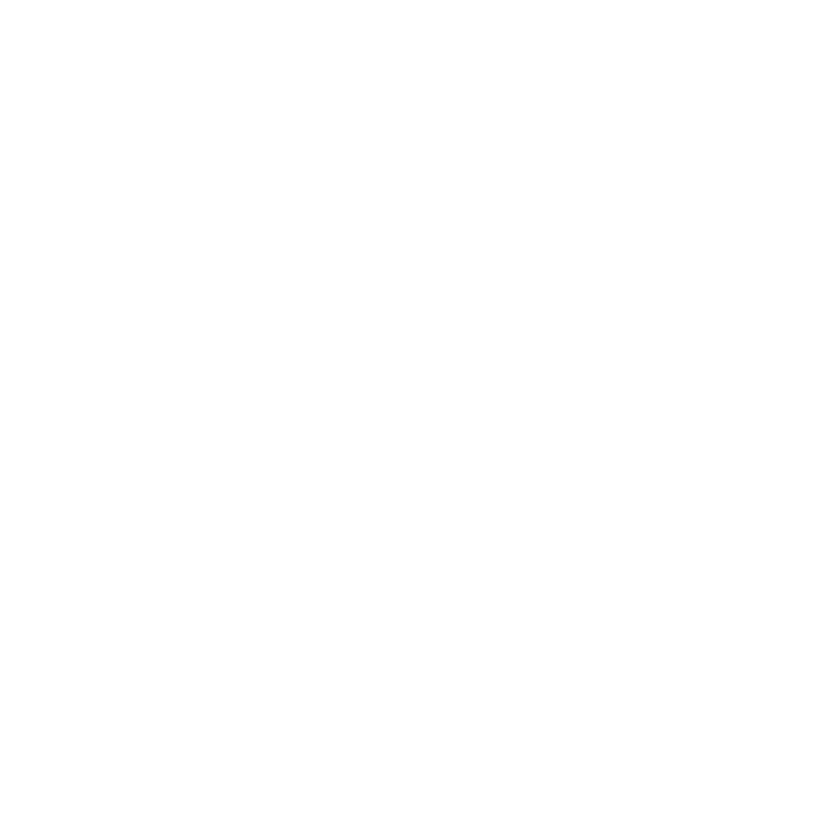 Spinelli Holding