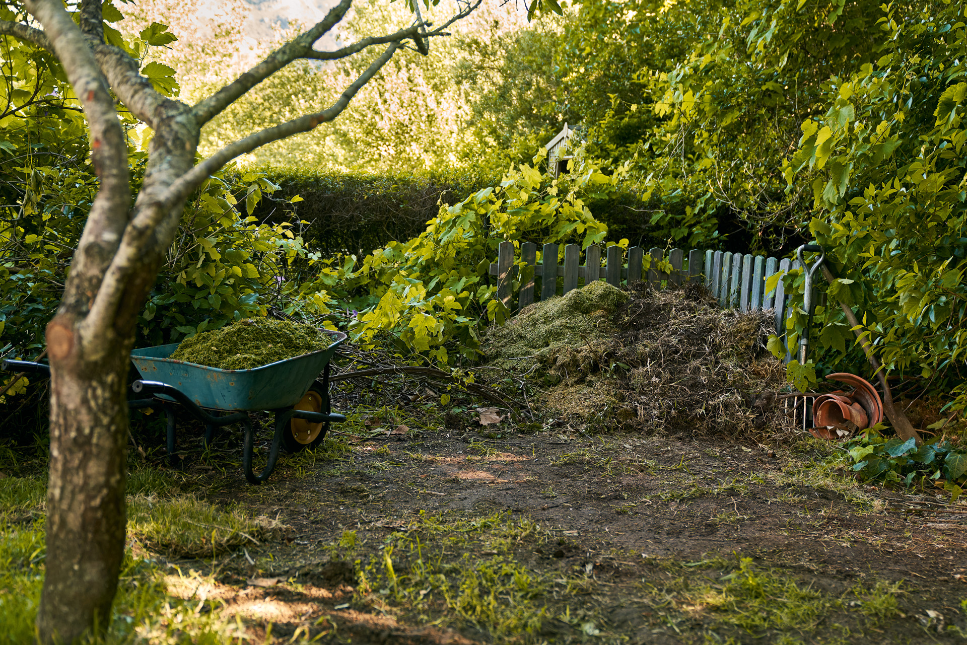 Um monte de composto e um carrinho de mão à sombra num canto do espaço verde - guia da eliminação de resíduos verdes