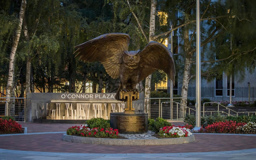 Statue of new night owl in O'connor plaza