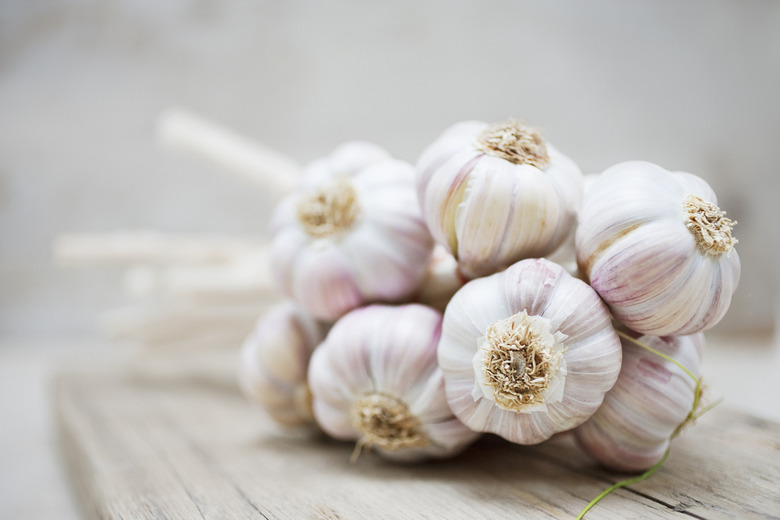 Buy Garlic in Bulk