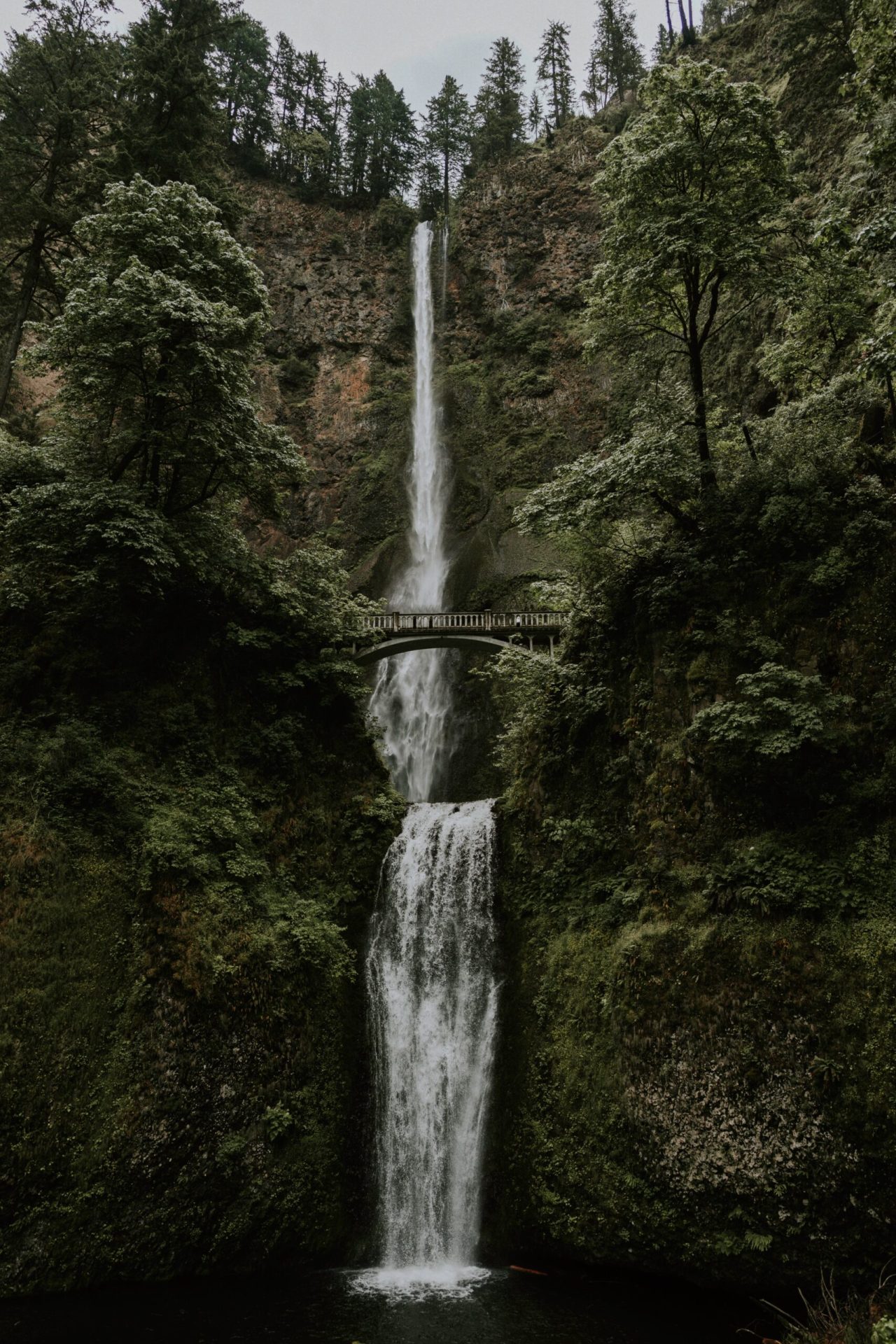 waterfalls with trees and a bridge