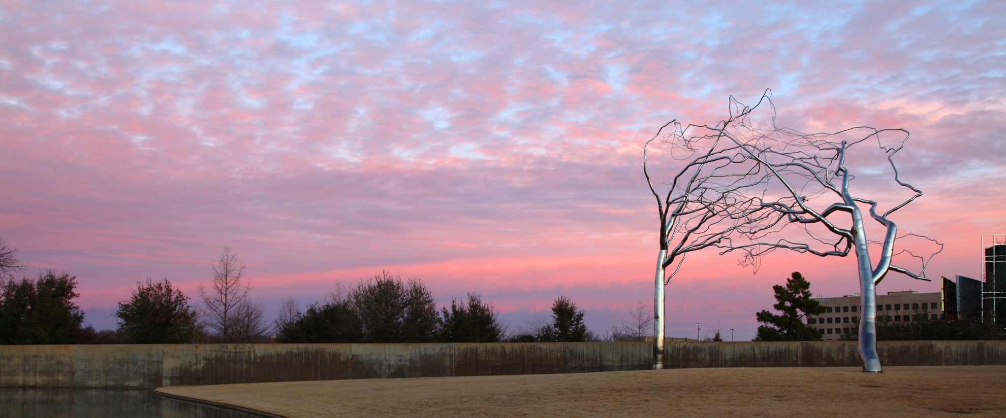 Roxy Paine, Conjoined, 2007. Stainless steel. 40 x 45 x 28 feet. Modern Art Museum of Fort Worth Museum purchase Acquired 2008