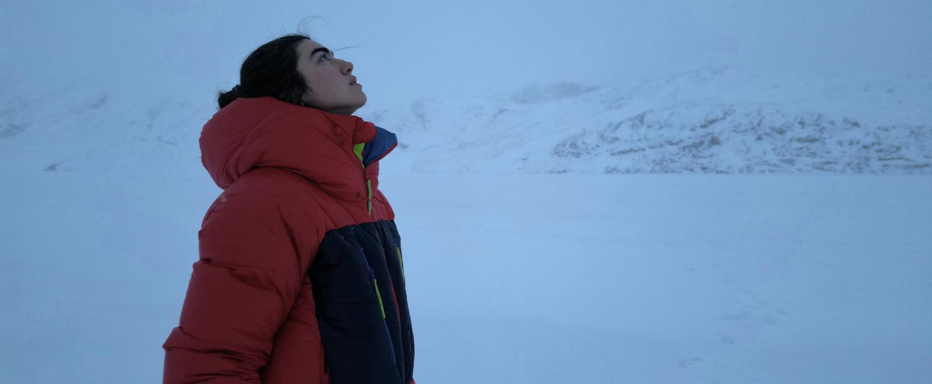 Une femme dans l'Arctique regardant vers le ciel