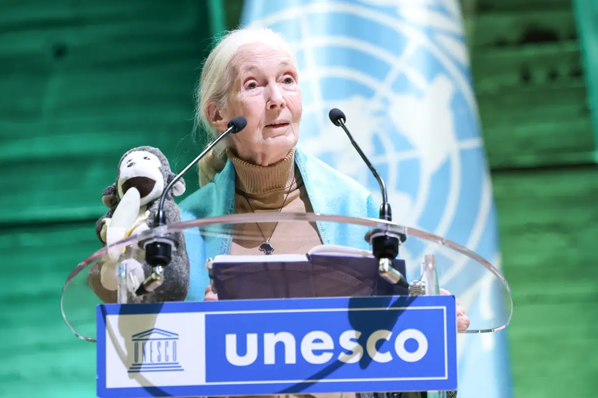 Dr Jane Goodall en train de s'exprimer devant un podium