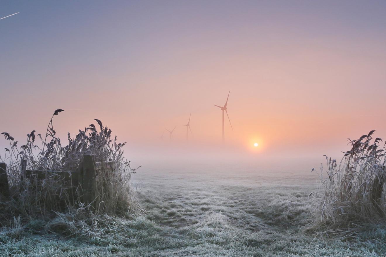 Un matin brumeux dans le village de Pingjum, situé dans la province de Frise, au nord des Pays-Bas.