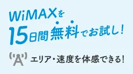 Try WiMAX