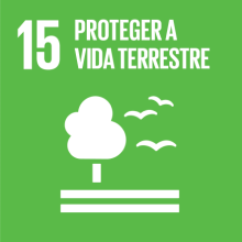 Ícone verde número 15 de Proteger a vida terrestre