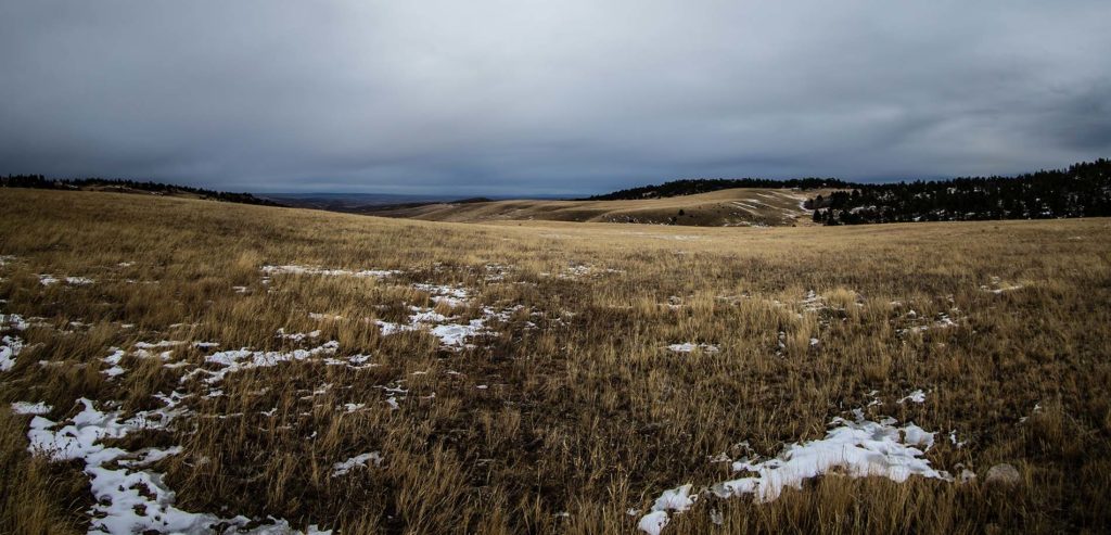 Wyoming Landscape