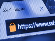 How an SSL certificate allows you to surf securely