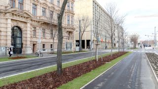 Umgebaute Universtittsstrae mit Radweg