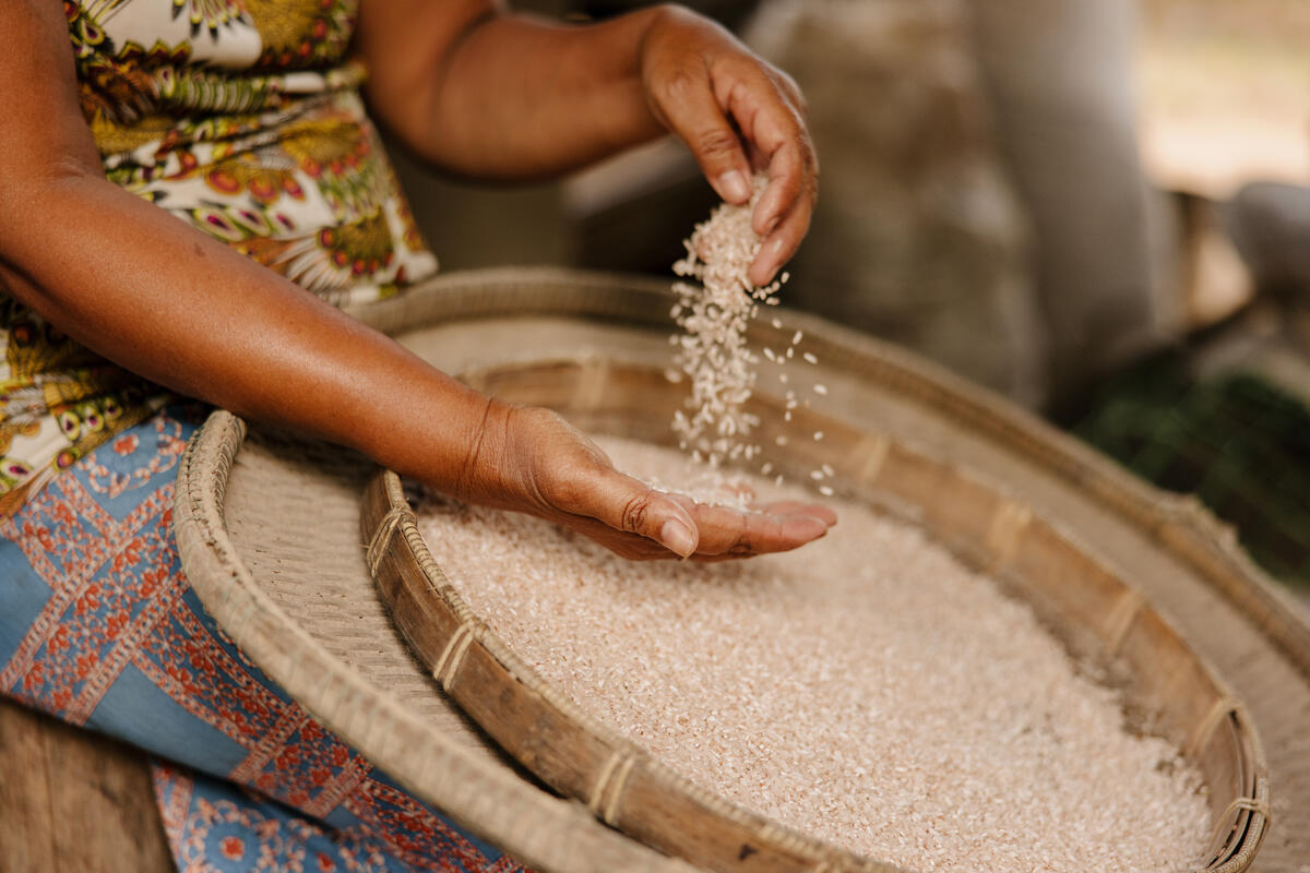 Tray of rice