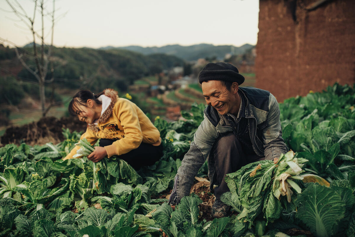 People working in agriculture