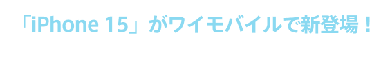 お値段そのまま　ギガ増量！