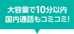 大容量で10分以内国内通話もコミコミ！