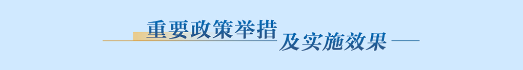 重要政策举措及实施效果