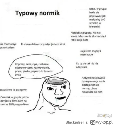 Blackpileer - normicki d@bil npc starter pack #przegryw #bekaznormictwa #normictwo #b...