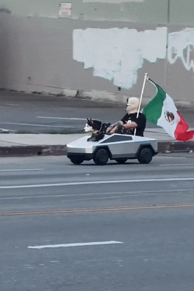 kicek3d - They see me rollin' They hatin'

#usa #meksyk #tesla #psy #gif