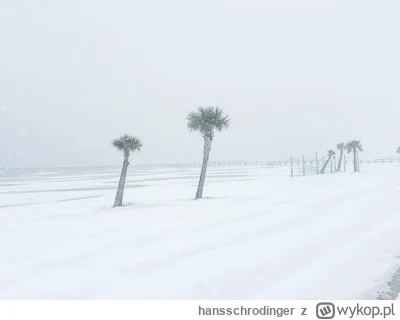 hansschrodinger - Piękna plaża w Missisipi. Wygląda na to że w tym roku USA zabrało c...