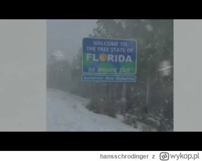 hansschrodinger - Śnieg spadł na Florydzie. To chyba nie jest normalne zjawisko ( ͡° ...