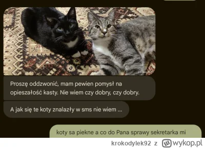 krokodylek92 - Takie wiadomości id klientów to ja lubię ( ͡° ͜ʖ ͡° )つ──☆*:・ﾟ

#pokazk...