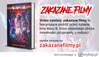 horrorshowpl - Właśnie po ponad dwóch latach pracy wydałem książkę o filmach zakazany...