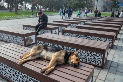 iterazwchodzejacalynabialo - Panowie, taka mała rozkmina
Czy to mozliwe, ze jednym z ...