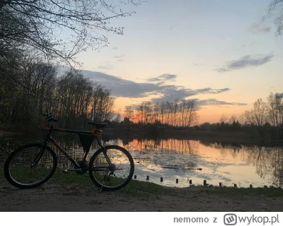 nemomo - Halo #poznan
Dzisiaj na grunwaldzie z------i mi rower(to już drugi w przecią...