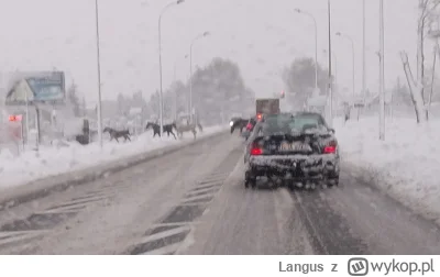 Langus - Równo 4 lata temu, wyjazd z #bialystok w kierunku Zabudabi. A dziś mi na ter...