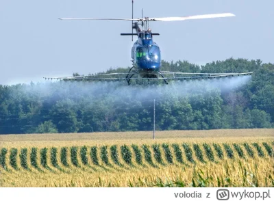 volodia - Czy jak idą te wszystkie narodowce takim pięknym wąskim długim łanem to nie...