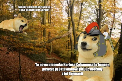 Felix_Felicis - #heheszki #humorobrazkowy #historia #rzym #doge

#memyhistoryczne