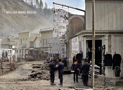 myrmekochoria - Wall Street, Deadwood, Dakota Territory 1877