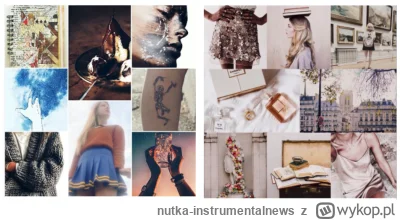 nutka-instrumentalnews - ideał #kobieta według tego roku

#kobiet #kobiety #portret
#...