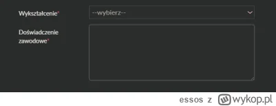 essos - W jakis sposob w formularzu rekrutacyjnym wypełnić pole "doswiadczenie zawodo...